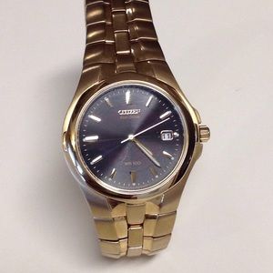 Mens citizen Eco drive watch